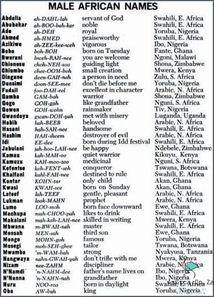 Unveiling The Treasures Of South African Names: Discoveries And Insights