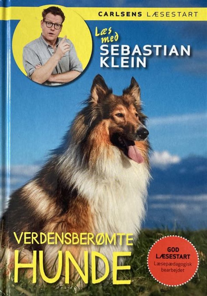 Discoveries From "The Story Of Sebastian Klein"