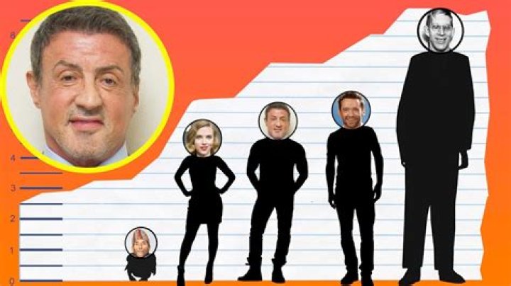 Unveiling Sylvester Stallone's True Height: Discoveries And Insights