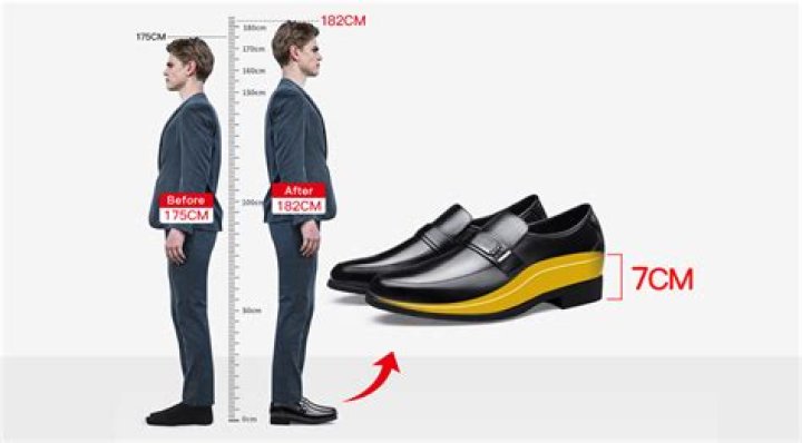 Sylvester Stallone's Height And Its Impact