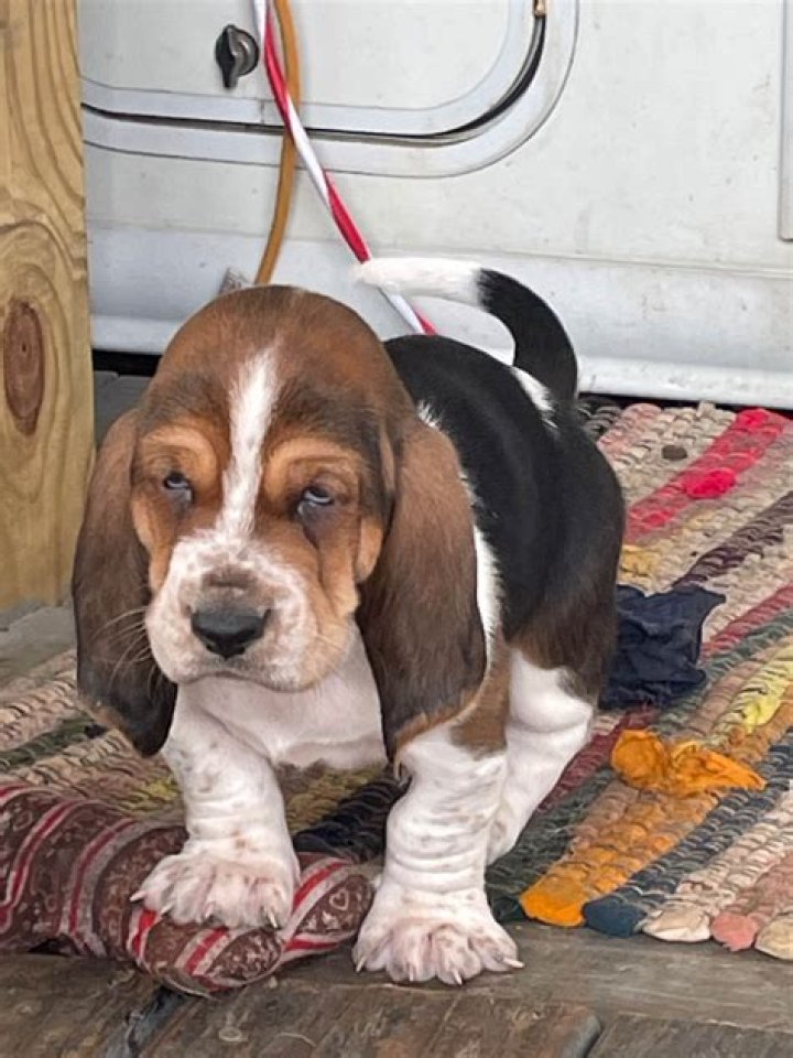 Discoveries And Insights Into Albuquerque's Mayor