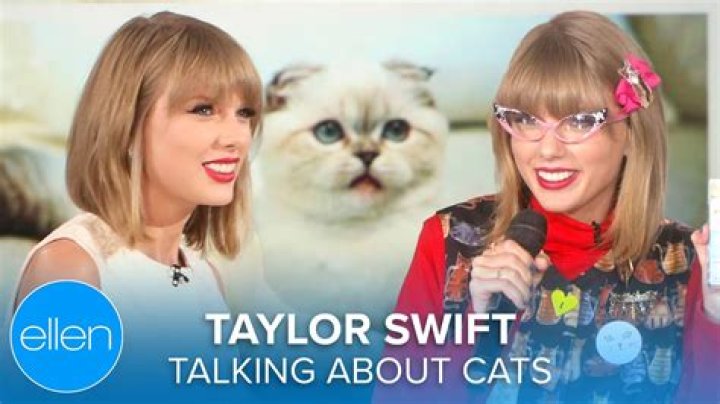 Unveiling The Secrets Behind Taylor Swift's Cat Names