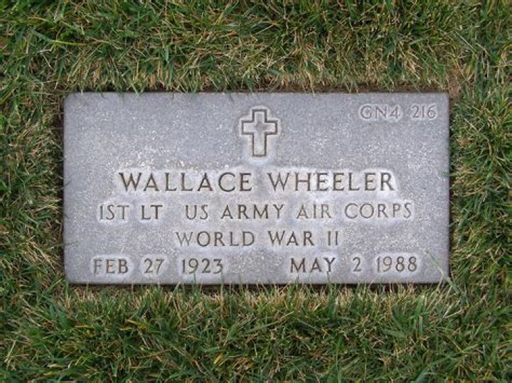 Uncover The Secrets Of Software Engineering Pioneer: Wallace Wheeler