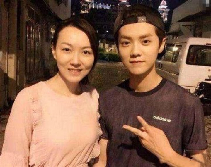 Unveiling The Artistic Tapestry Of Wu Xiuqin: Discoveries And Insights